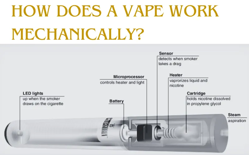 What Does The Inside Of A Vape Look Like? 5 Main Components Hidden In A ...